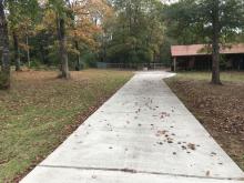 Before leaf clean up